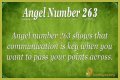 263 Angel Number Meaning - Pulptastic