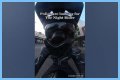 Night Rider Arrested, What Happened To Night Rider?