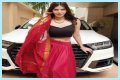 Sherlyn Chopra - Bio, Age, Wiki, Facts and Family